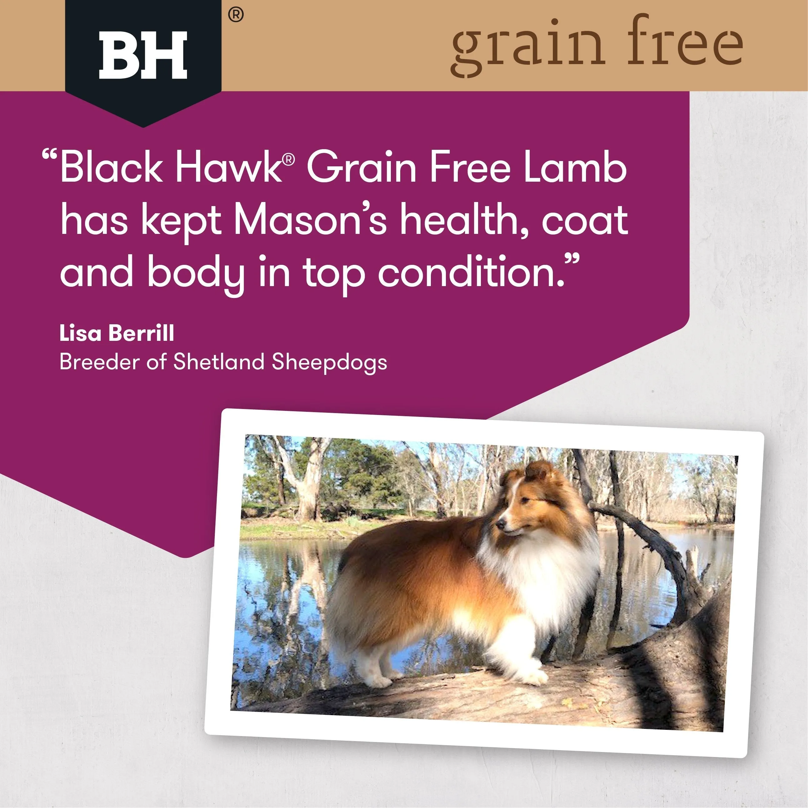 Black Hawk Grain Free Lamb Dry Dog Food 2.5kg