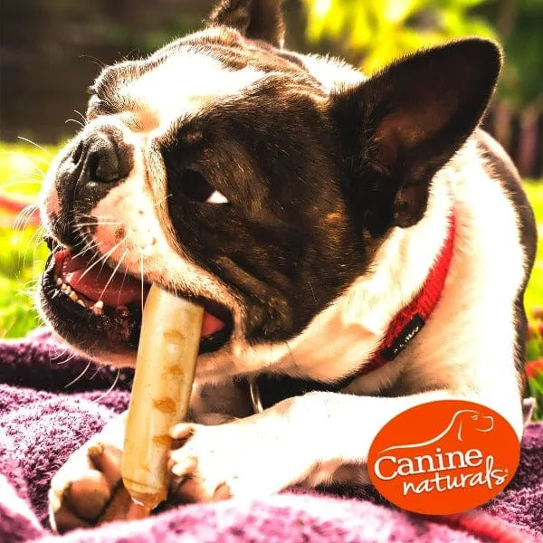 Canine Naturals Hide Free Chicken Rolls Dog Chew