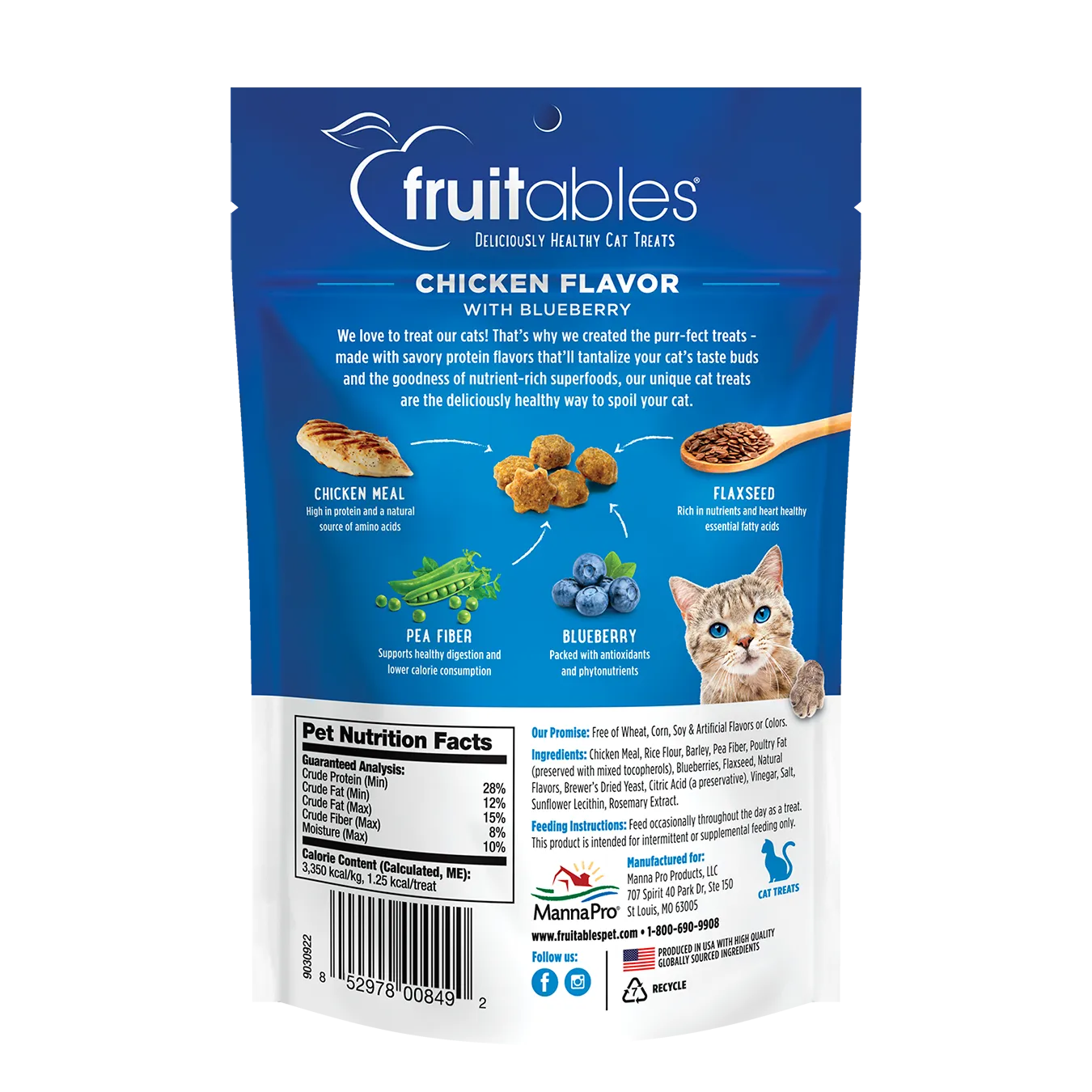 Fruitables Crunchy Chicken Flavor with Blueberry Cat Treats 70g