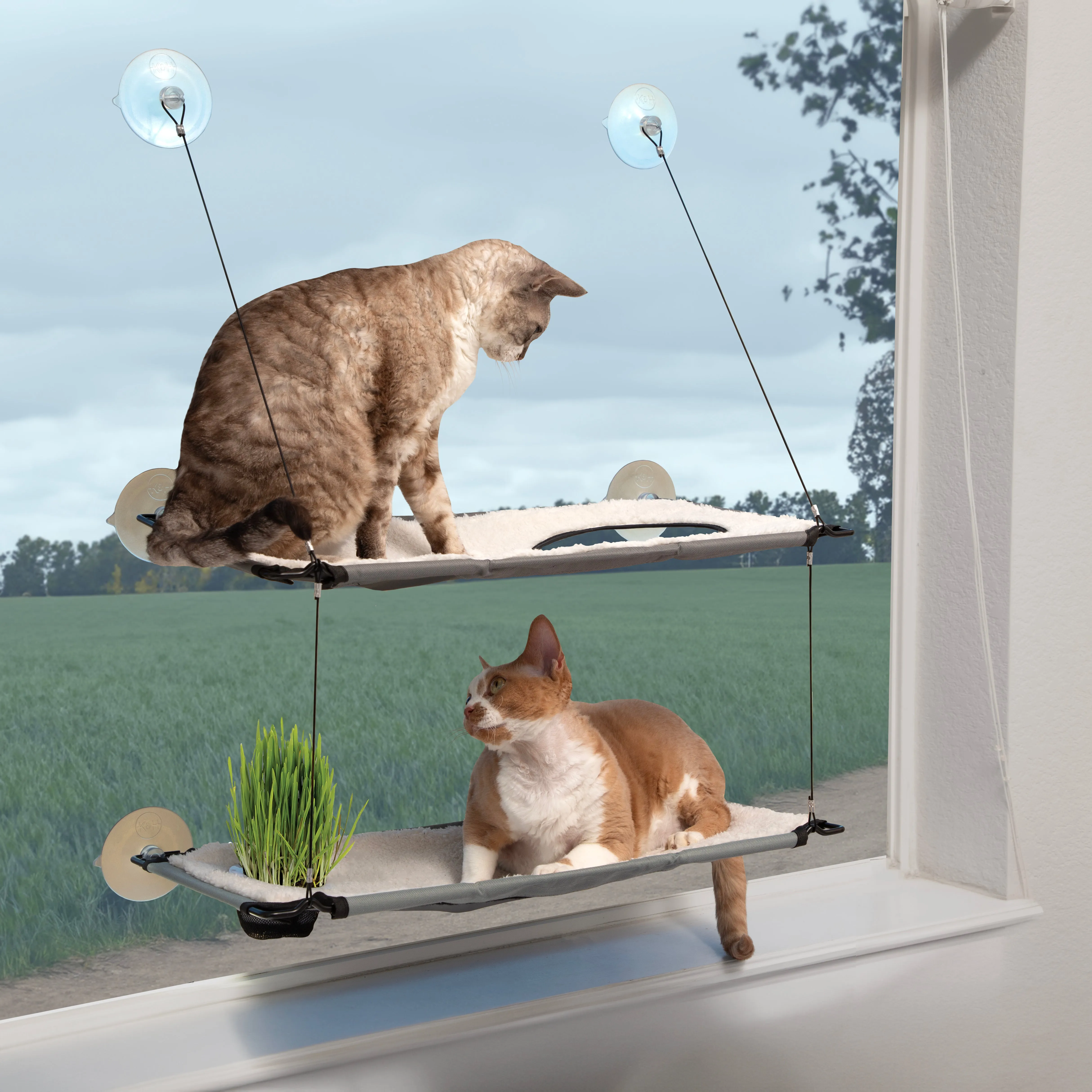 K&H Window Lounger Cat Perch with Cat Grass Grow Station