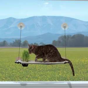 K&H Window Lounger Cat Perch with Cat Grass Grow Station