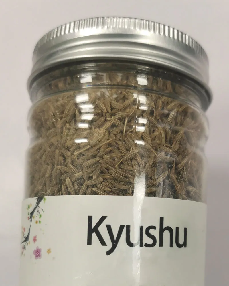 Kyushu plant seeds, planted on the soil and watered can grow, the back garden grass seeds