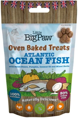 Little Big Paw Oven Baked Ocean Fish Treat For Dog