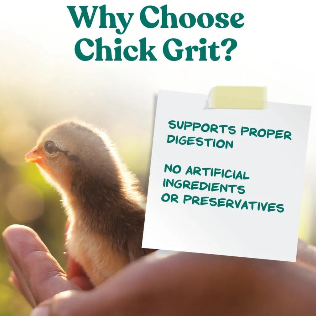 Manna Pro Chick Grit Digestive Supplement with Probiotics (5 lb)