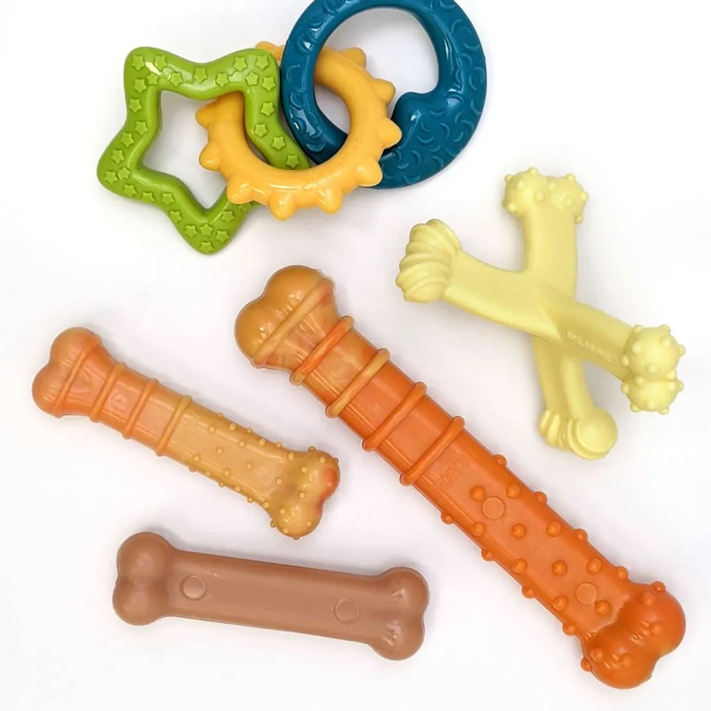 Nylabon Puppy Power Chew Axis Bone Nylon Chew Toy Vanilla Flavor, Small/Regular