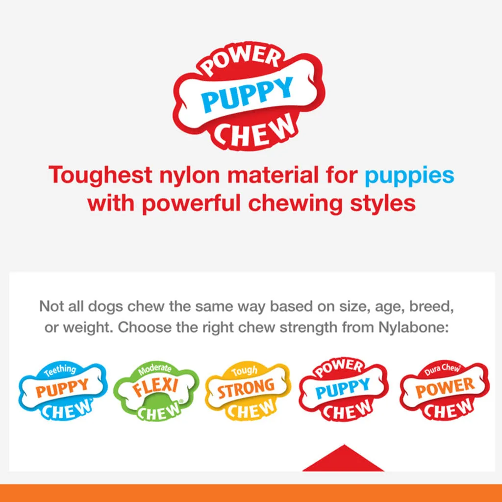 Nylabon Puppy Power Chew Axis Bone Nylon Chew Toy Vanilla Flavor, Small/Regular