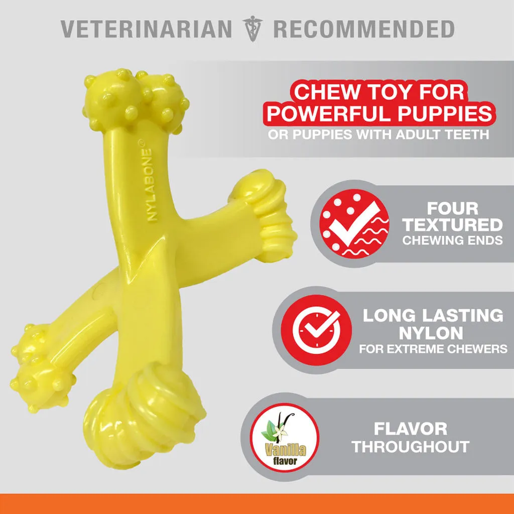 Nylabon Puppy Power Chew Axis Bone Nylon Chew Toy Vanilla Flavor, Small/Regular