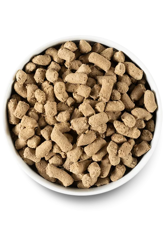 Open Farm Pasture-raised Lamb Freeze Dried Raw Dog Food