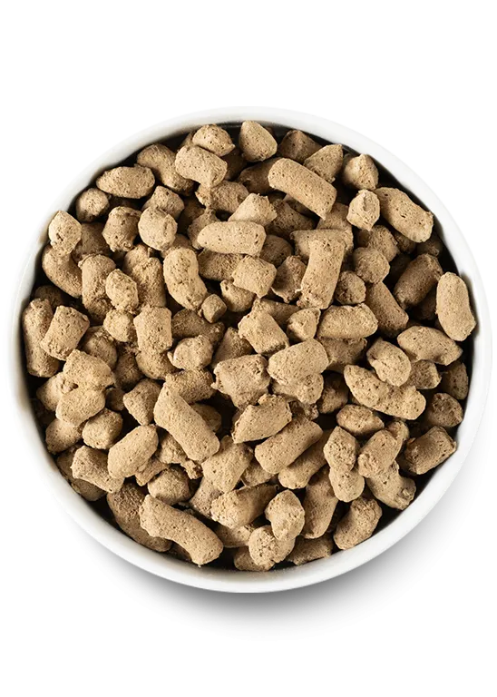 Open Farm Surf & Turf Freeze Dried Raw Dog Food