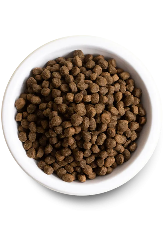 Open Farm Wild-Caught Salmon Grain-Free Dry Dog Food