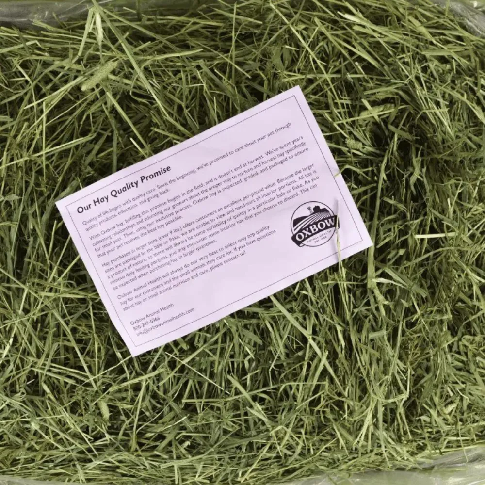 Oxbow Western Timothy Hay Dry Food for Rabbits and Guinea Pigs