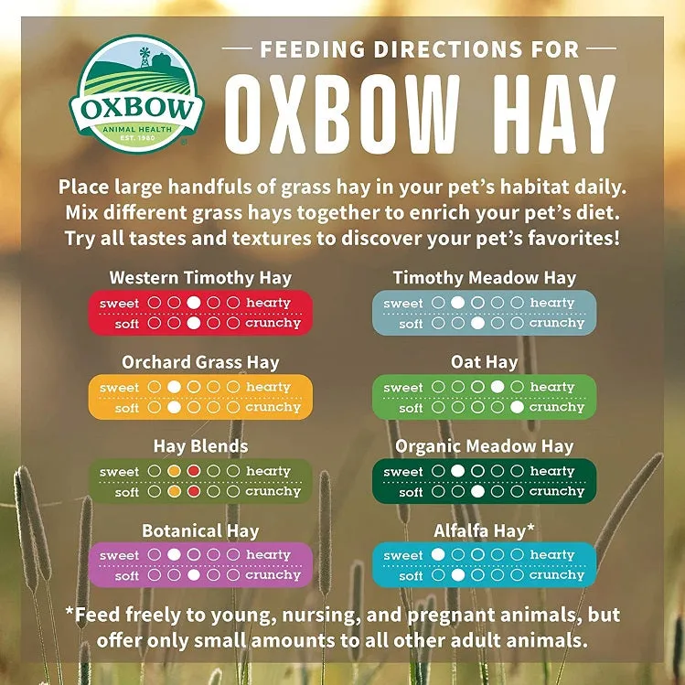 Oxbow Western Timothy Hay