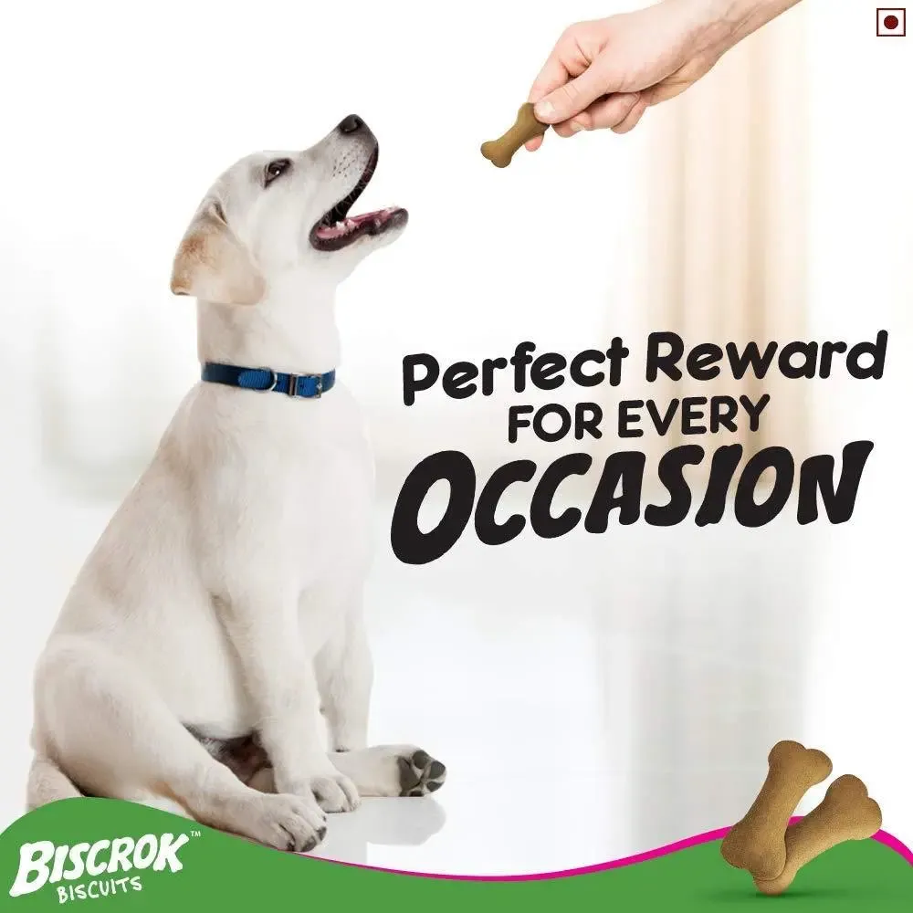 Pedigree Biscrok Biscuits Dog Treats (Above 4 Months), Milk and Chicken Flavor, 500g pack of 2