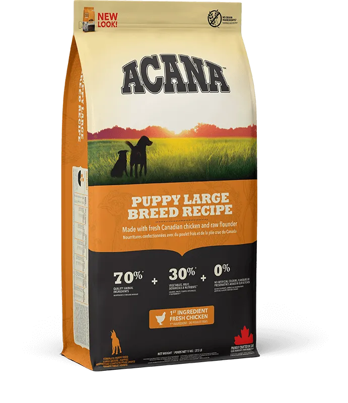 Puppy Large Breed Dry Dog Food