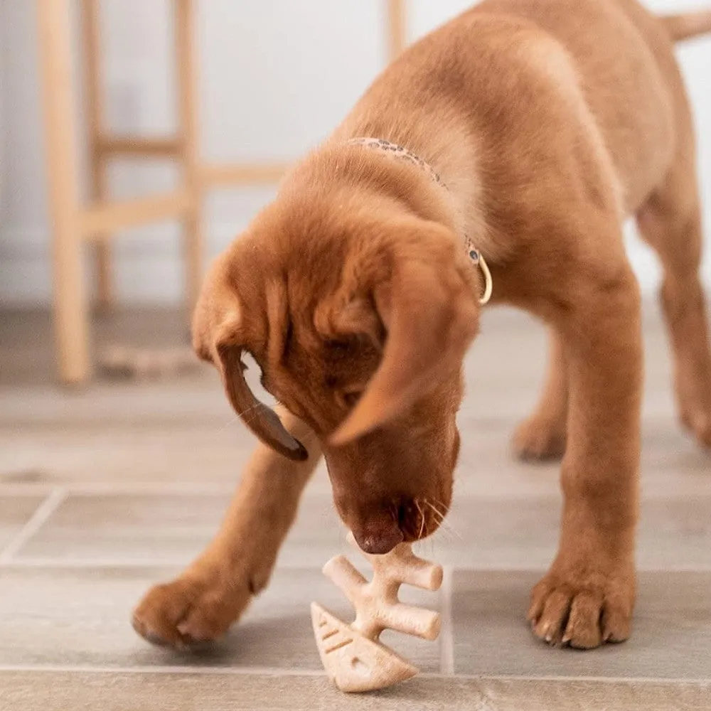 Puppy Pack - Fishbone Salmon Chews Dog Chew Toy