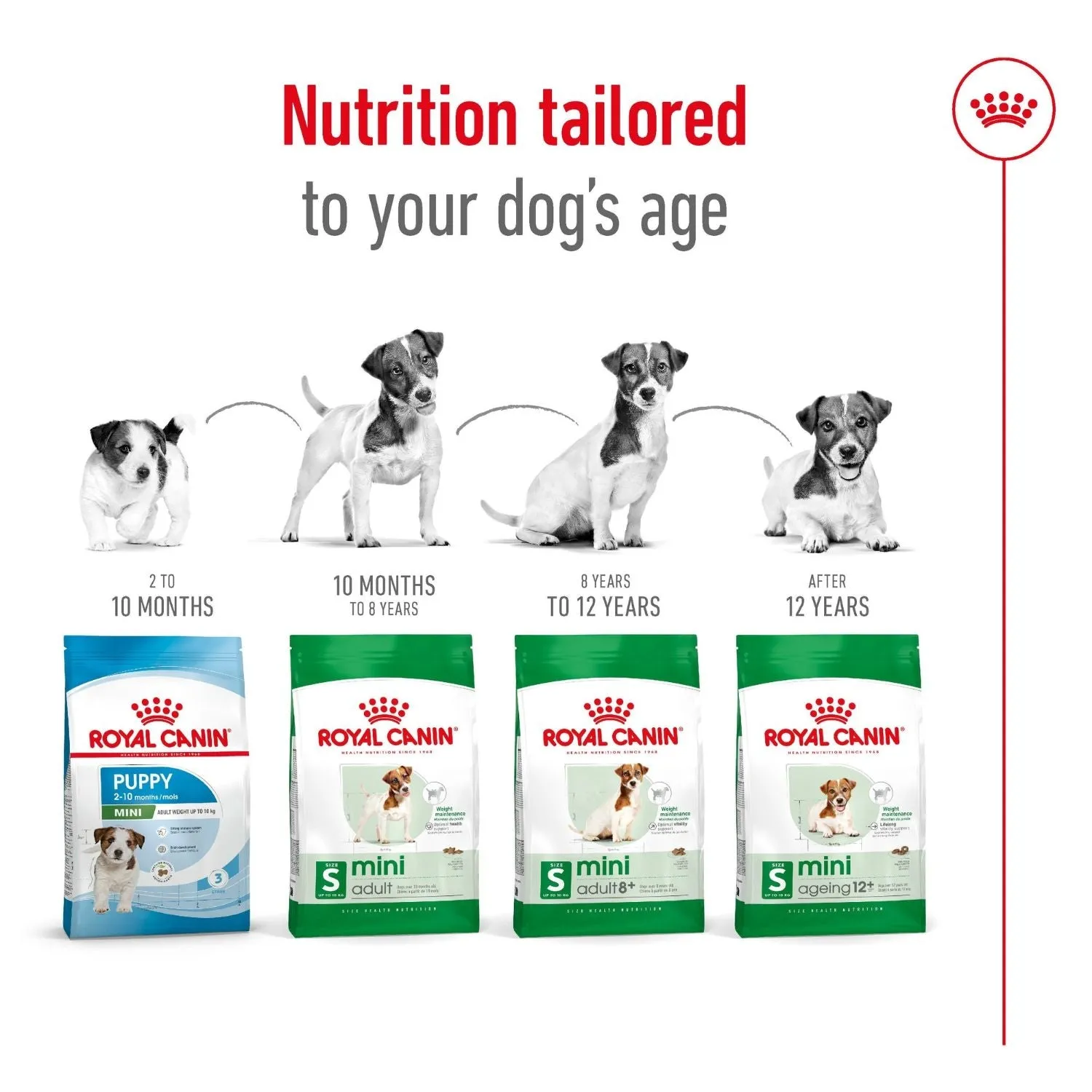 Royal Canin Dog Mini Ageing 12  Dry Food 1.5kg