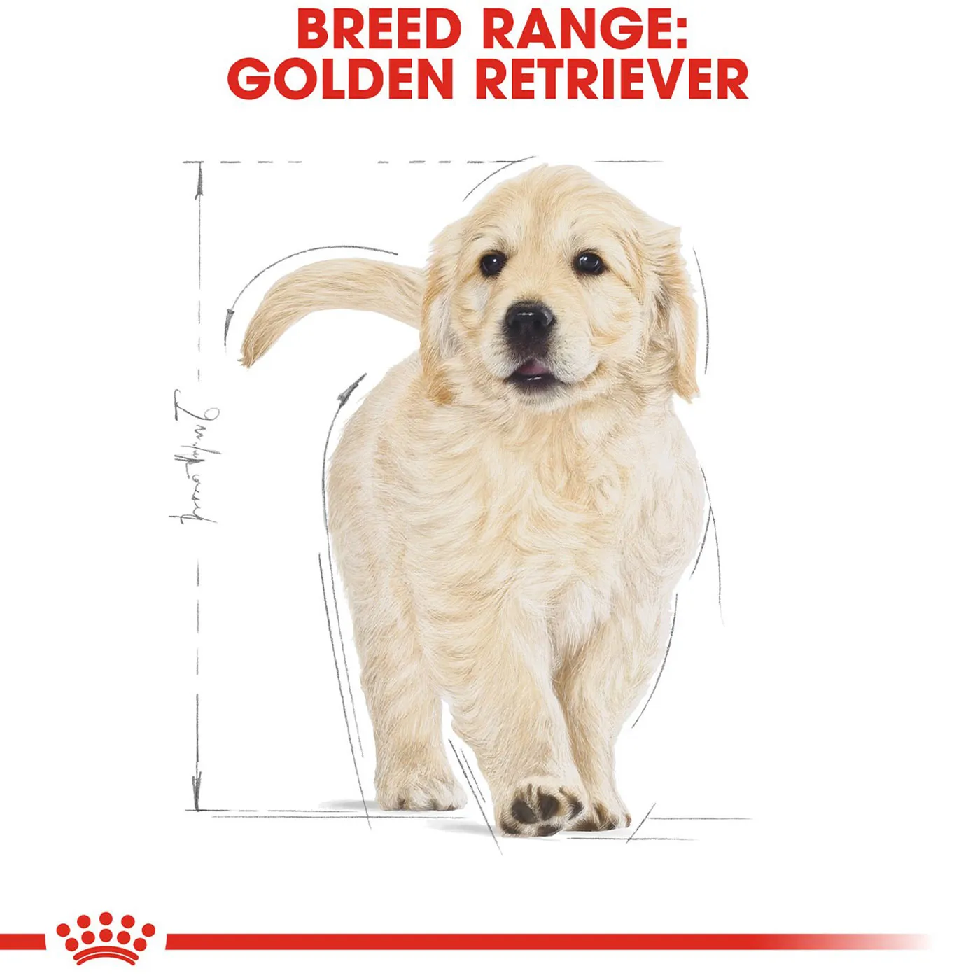 Royal Canin Golden Retriever Dry Puppy Food 12KG