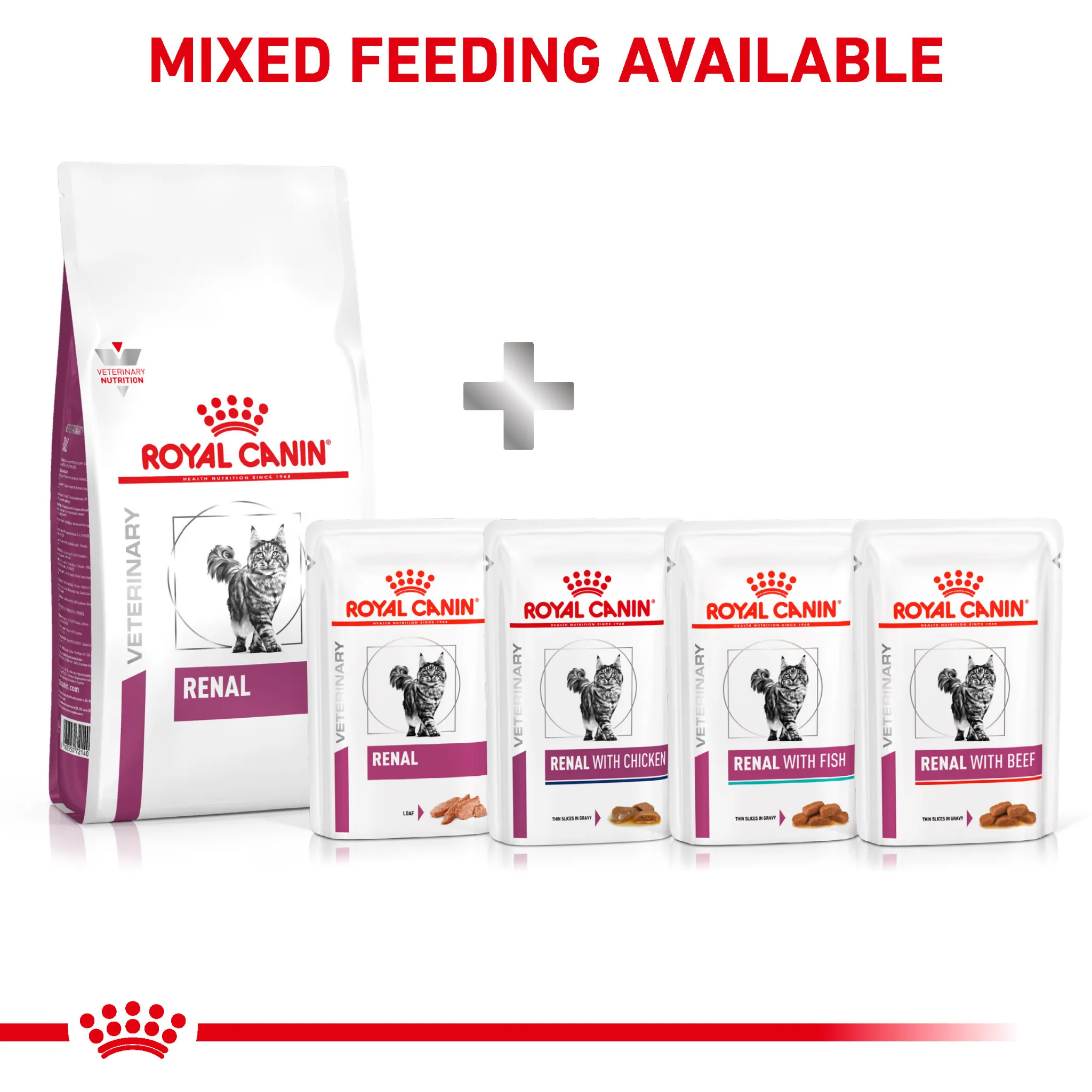 ROYAL CANIN® Renal Adult Dry Cat Food