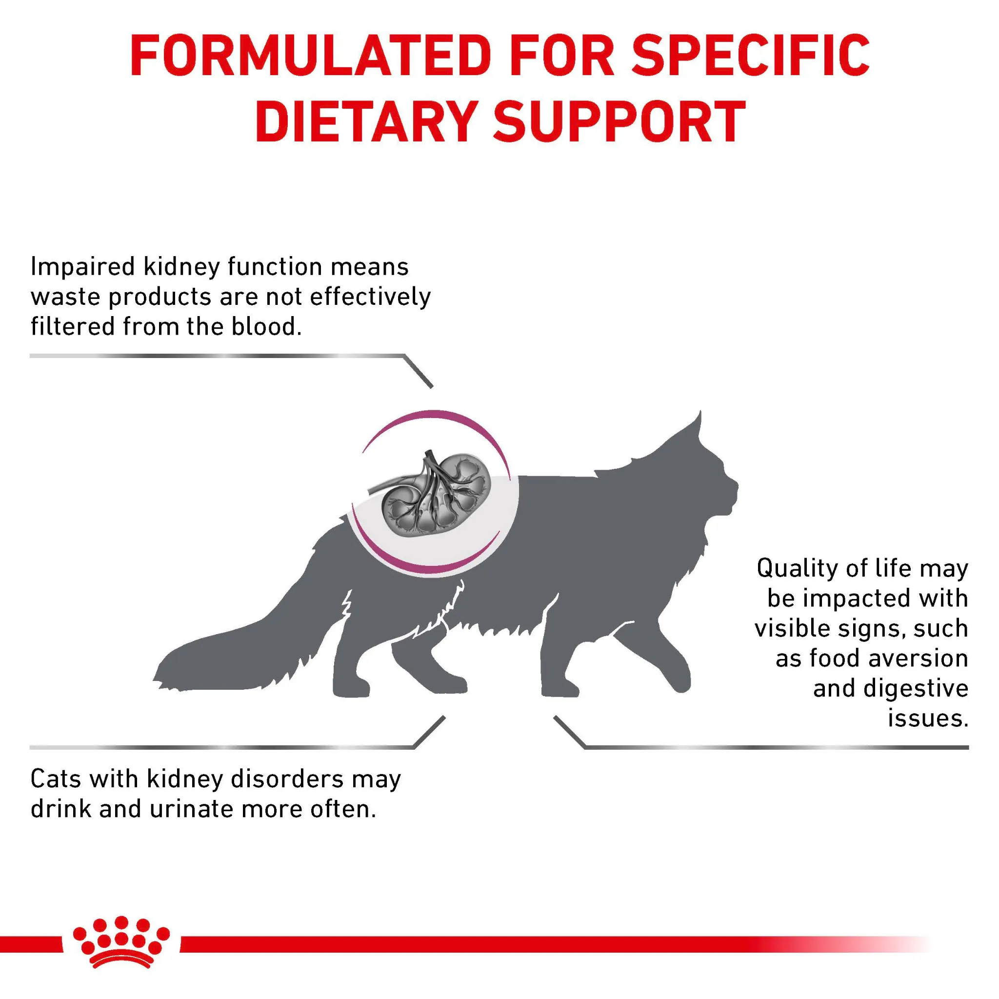 ROYAL CANIN® Renal Adult Dry Cat Food