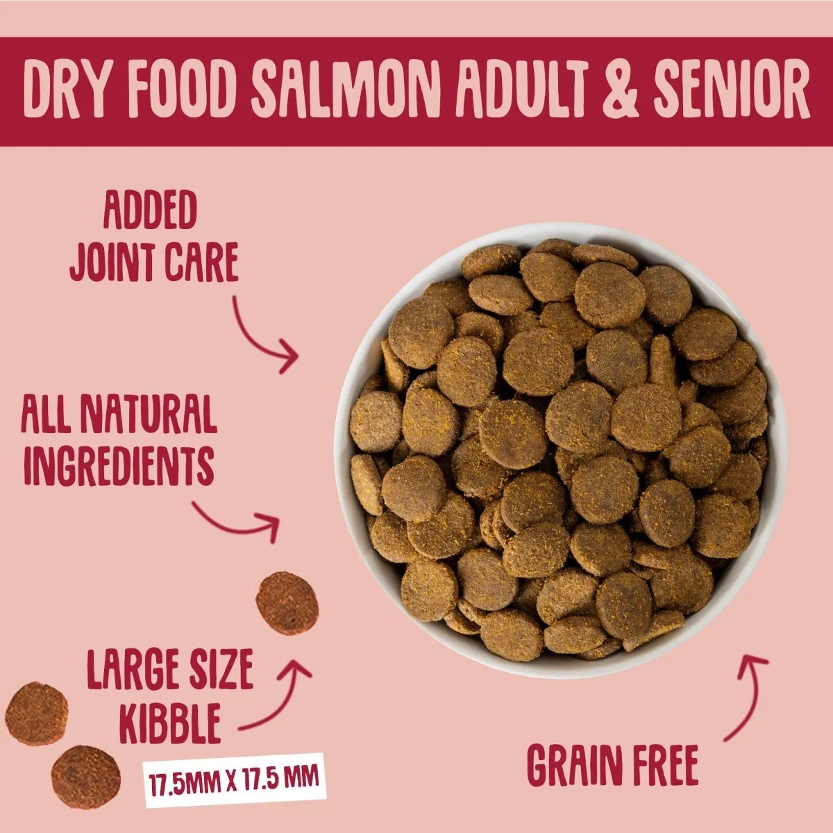 Salmon Dry Dog Food