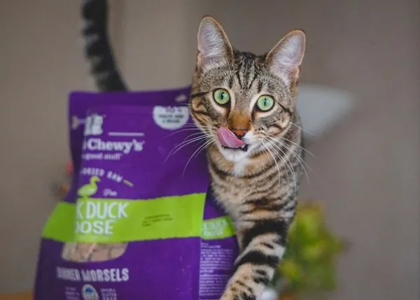 Stella & Chewy's Freeze-Dried Morsels for Cats - Duck Duck Goose Recipe, Freeze-Dried Raw Cat Food