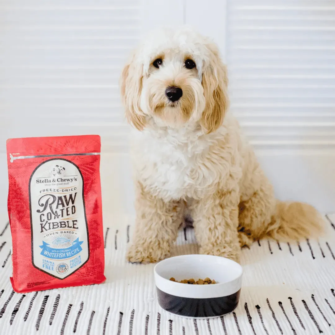 Stella and Chewy's Wild-Caught Whitefish Raw Coated Grain-Free Kibble Dry Dog Food