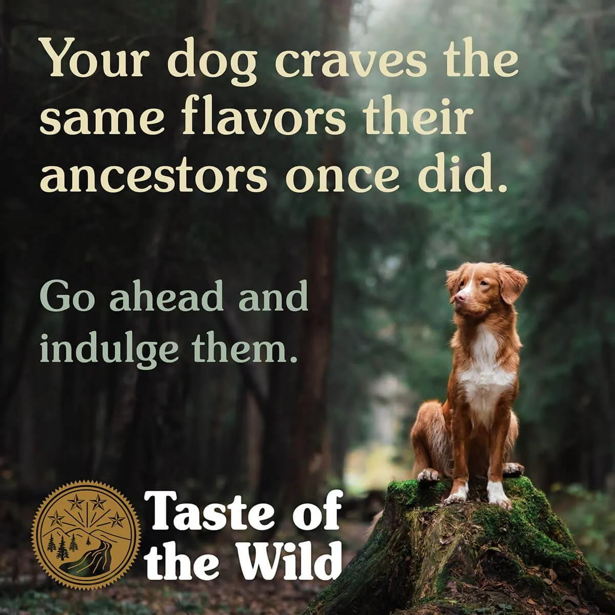 Taste of the Wild Pine Forest Venison & Legumes Dry Dog Food