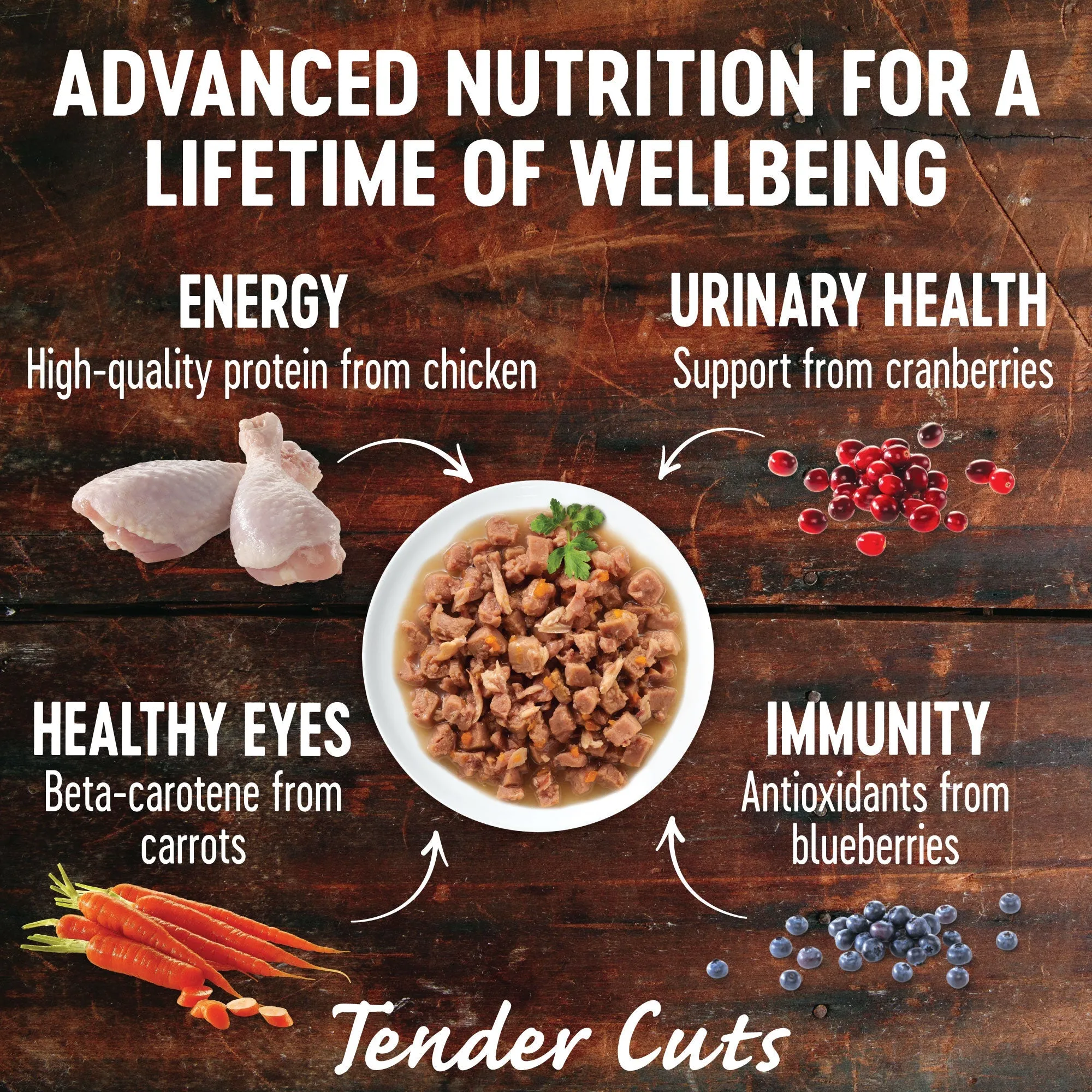 Wellness CORE Tender Cuts with Salmon and Tuna in Gravy Wet Cat Food 85g x 8