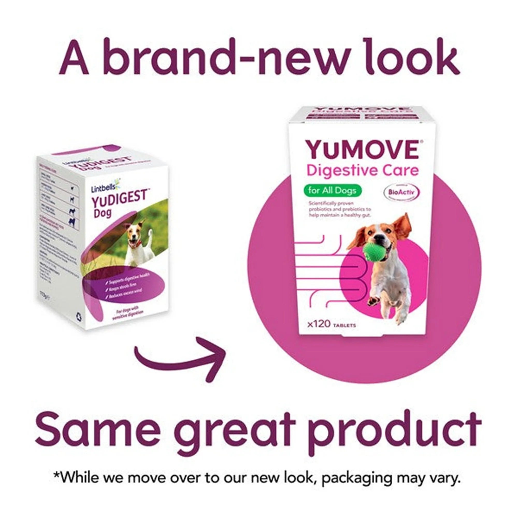 YuMOVE Digestive Care for All Dogs 300 pack